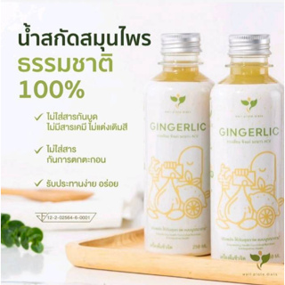 ( 2 ขวด ) GINGERLIC น้ำกระเทียมสกัดเข้มข้น น้ำสมุนไพรสกัดเย็น กระเทียม + ขิง + มะนาว + น้ำแอปเปิ้ลไซเดอร์