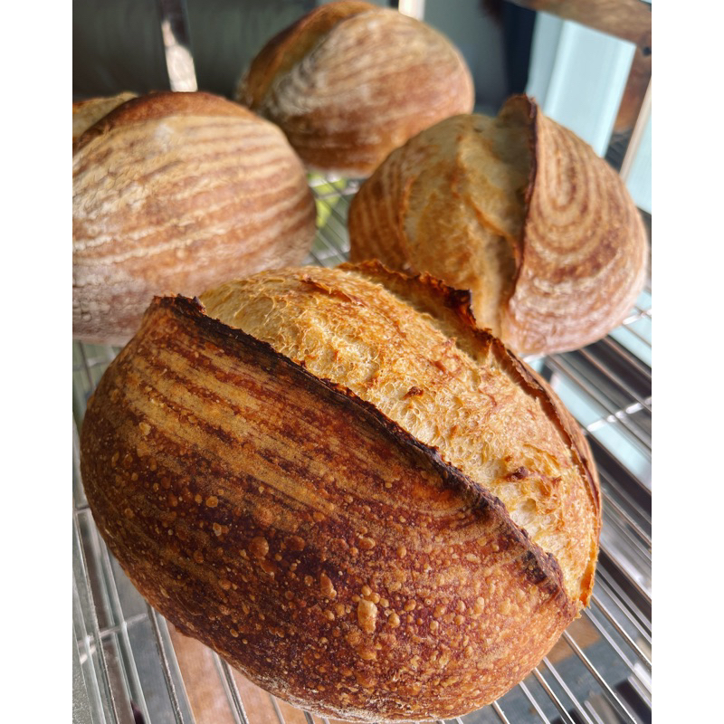 classic-white-sourdough-คลาสสิคซาวโดว์