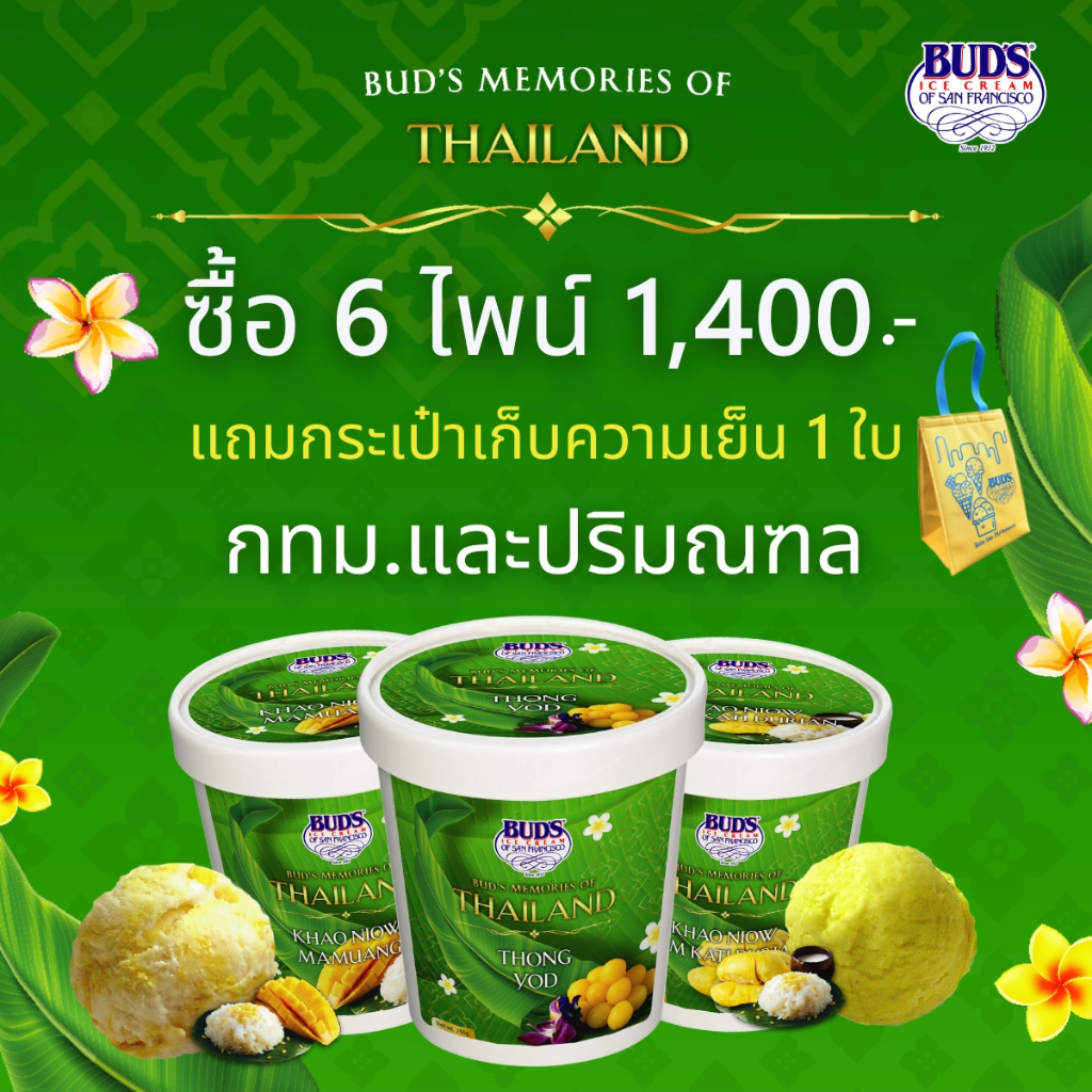 set-6-ไพน์-ส่งฟรี-กทม-ปริมณฑล-เพียง-1-400-บาท