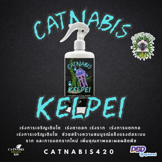 Catnabis Kelpei สาหร่ายทะเล เปิดตาดอก แตกกอ เร่งการเจริญเติบโต เร่งการแตกยอดอ่อน แตกตาดอก เร่งรากเร่งการแตกกอ