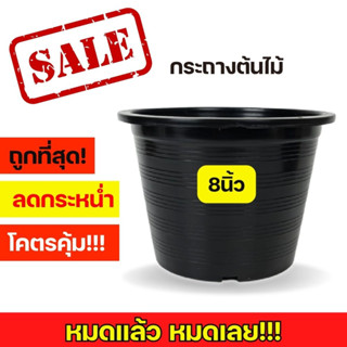 กระถางต้นไม้ 8 นิ้ว กระถางดำ กระถาง 8นิ้ว กระถาง กระถางพลาสติก จานรองกระถาง จานรอง ส่งตรงจากโรงงาน