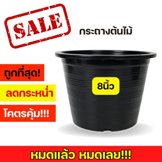 กระถางต้นไม้ 8 นิ้ว กระถางดำ กระถาง 8นิ้ว กระถาง กระถางพลาสติก จานรองกระถาง จานรอง ส่งตรงจากโรงงาน