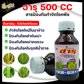 ฮารุ สารป้องกันกำจัดโรคพืช สารไอโซโพรไทโอเลน 41.76% W/V EC ป้องกันกำจัดโรคใบไหม้ ใบจุด โรคลำต้นเน่าในนาข้าวได้ดี ของแท้