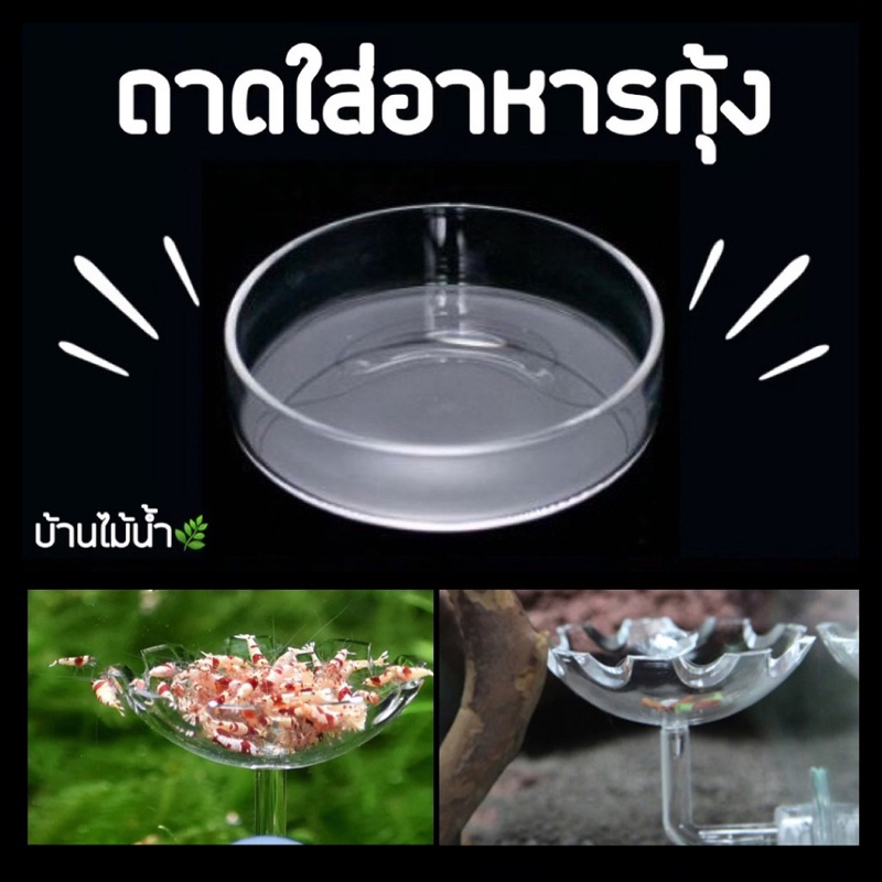 ถาดใส่อาหารกุ้ง-จานใส่อาหารกุ้ง-จานกุ้งติดกระจก-บ้านไม้น้ำ