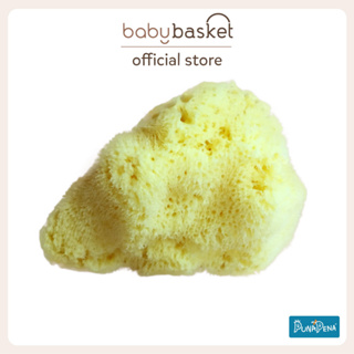 ฟองน้ำธรรมชาติ 100% ถนอมผิวเด็ก Punapena Sea Sponge Silk ขนาด L อ่อนโยน บริสุทธิ์สำหรับทารก