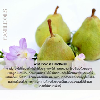 หัวน้ำหอม กลิ่น Wild Pear & Patchouli หัวน้ำหอมทำเทียน