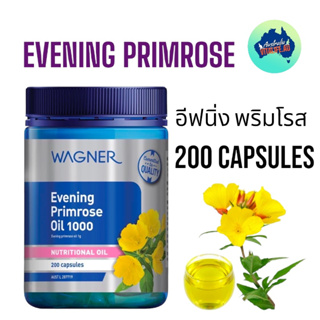 ภาพหน้าปกสินค้าอีพนิ่งพริมโรส 200 แคปซูล Wagner Evening  Evening primros oil  1000 mg ที่เกี่ยวข้อง