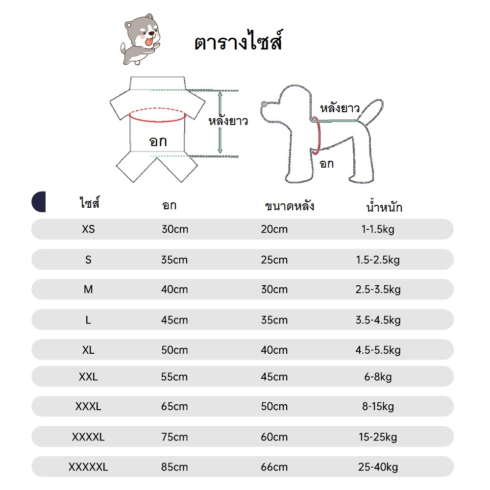 เสื้อเชิ้ตแมว-ส่งด่วน-ร้านไทย-แมวน่ารักๆ