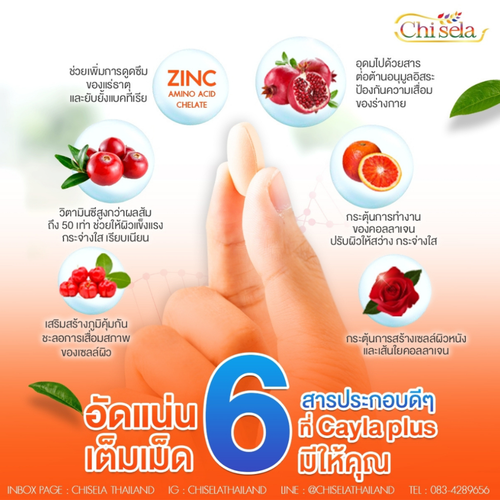 ซื้อ-1-กระปุก-แถมฟรี-1-กระปุก-cayla-plus-หรือ-calcium-l-threonate-mag-d