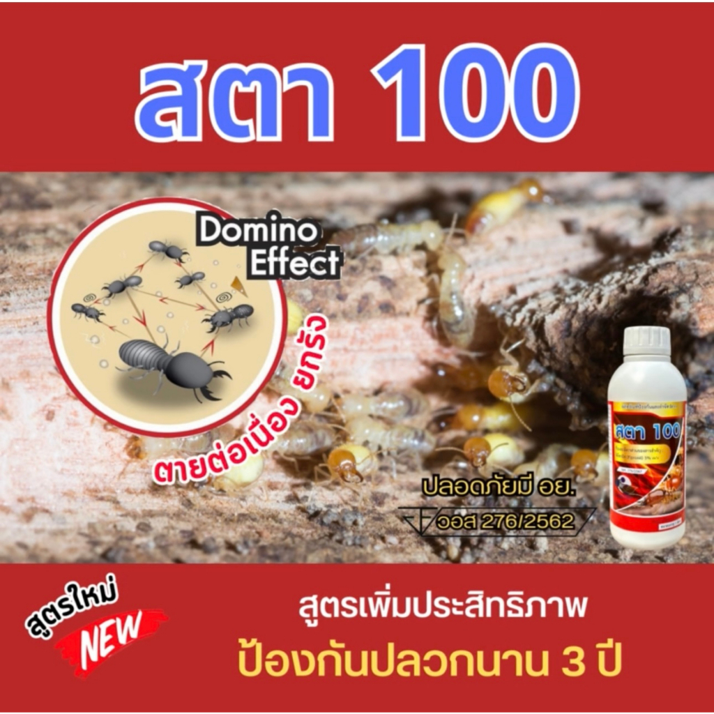 สตา100-น้ำยากำจัดปลวก-ยากำจัดปลวก-ยาปลวก-ฟิโพรนิล5-สูตรน้ำไม่มีกลิ่น-ปลวกติดเชื้อตายยกรัง-กำจัดปลวก