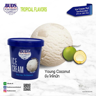 BUDS Ice Cream Young Coconut 473 ml (280g)