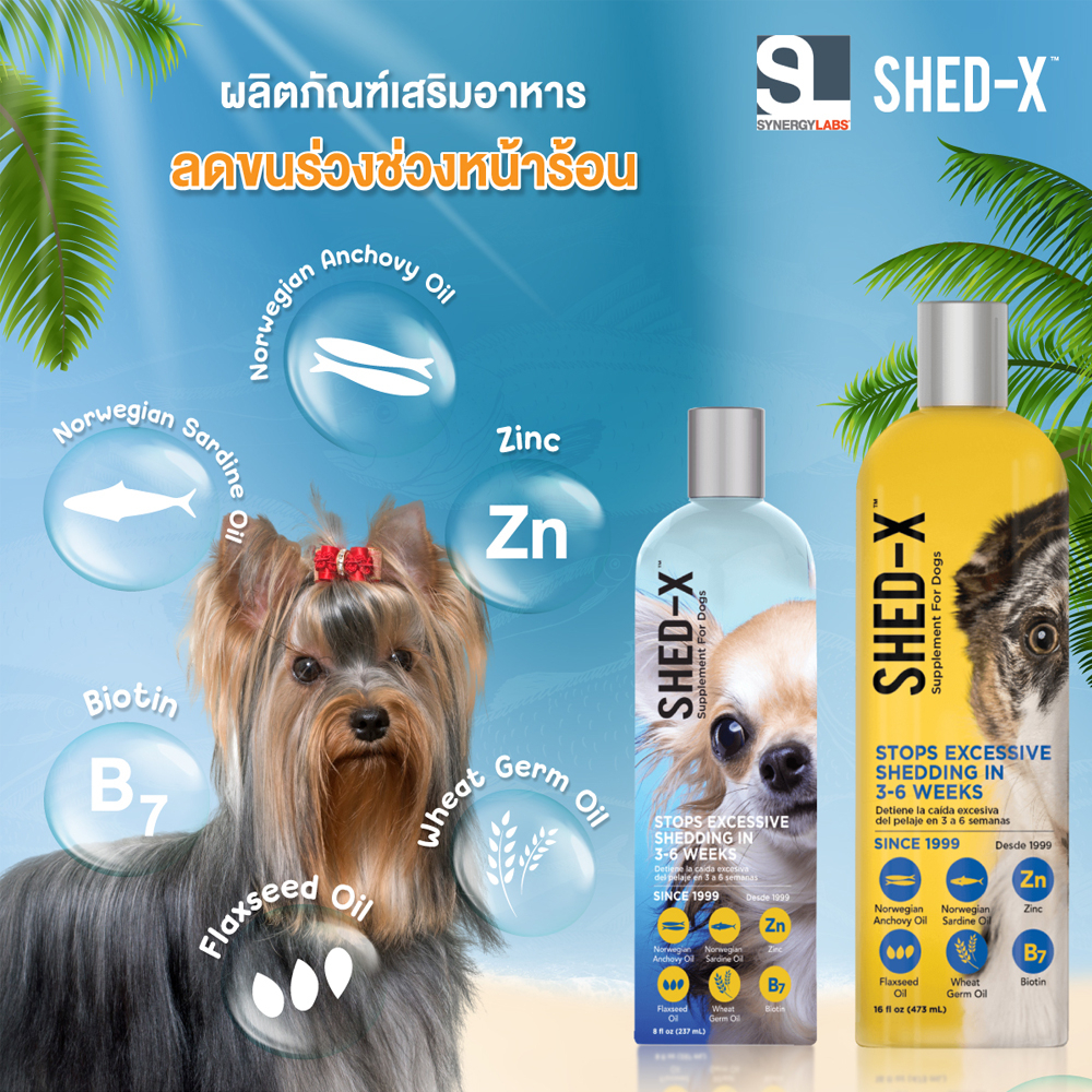 Shed-X Supplement for dogs ผลิตภัณฑ์อาหารเสริมบำรุงขน ขนาด16oz + Shed-X ...