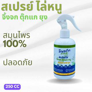 ไล่จิ้งจก ตุ๊กแก หนู และแมลงบิน ขนาด 250 มิลลิลิตร