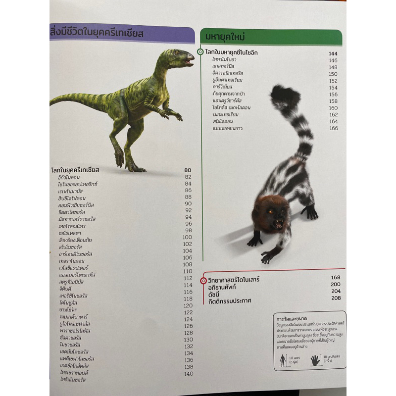 9786160458127-สารานุกรมความรู้-ไดโนเสาร์-ฉบับอัปเดตข้อมูลใหม่ล่าสุด-john-woodward