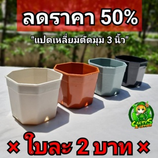 ลดราคา50% กระถางแคคตัส ทรงเหลี่ยมตัดมุมขนาด3นิ้ว 4สี