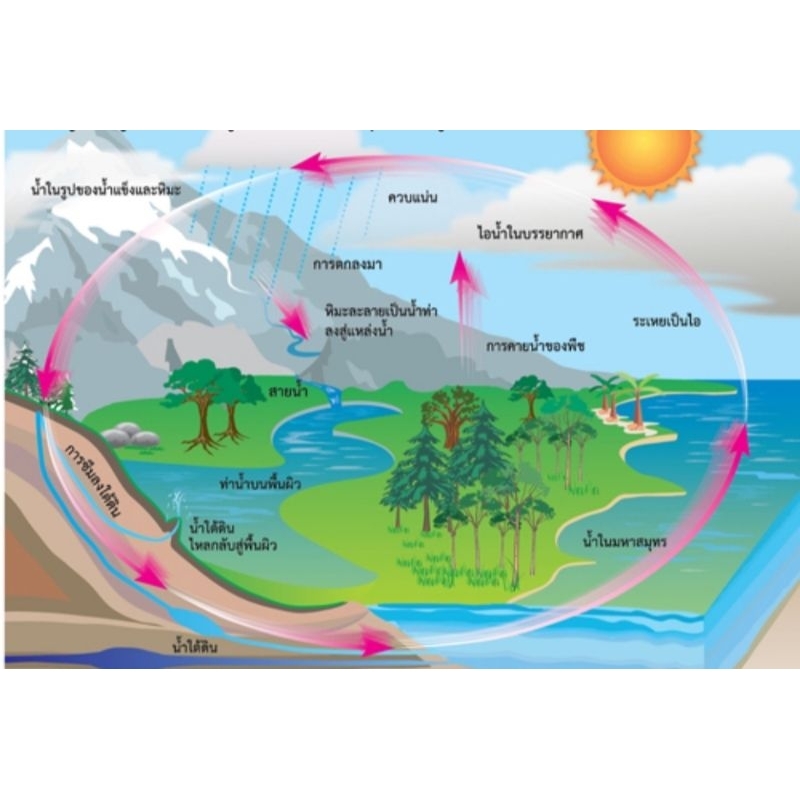 วัฏจักรของน้ำ-eq-188-โปสเตอร์สื่อการสอน-หุ้มพลาสติก-ขนาด-50-70-cm