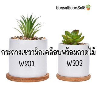 (W201-W202) กระถางเซรามิกเคลือบพร้อมถาดรองไม้ กระถางมินิมอล กระถางแคตตัส กระถางไม้จิ๋ว กระถางทรงวงกลมสูง