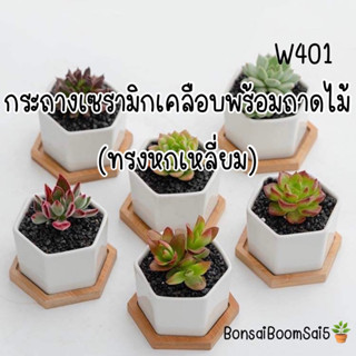 (W401) กระถางเซรามิกเคลือบ กระถางแคตตัส กระถางไม้จิ๋ว กระถางทรงหกเหลี่ยม