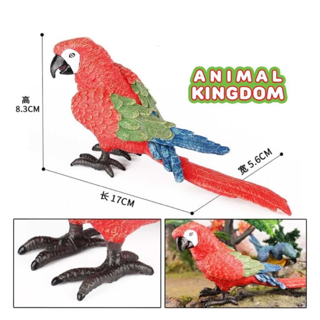 animal-kingdom-โมเดลสัตว์-นกแก้ว-แดง-ขนาด-17-00-cm-จากหาดใหญ่