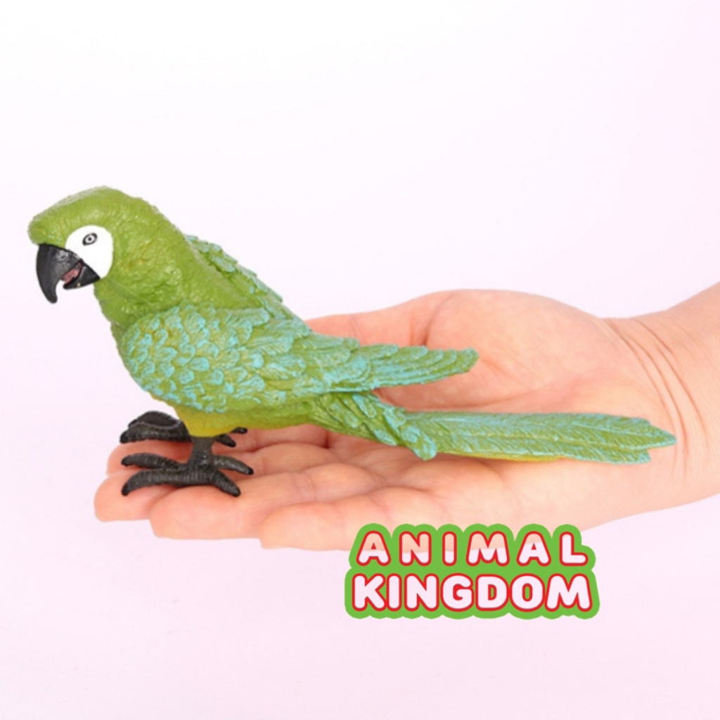 animal-kingdom-โมเดลสัตว์-นกแก้ว-เขียว-ขนาด-17-00-cm-จากหาดใหญ่