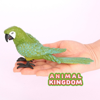 Animal Kingdom - โมเดลสัตว์ นกแก้ว เขียว ขนาด 17.00 CM (จากหาดใหญ่)
