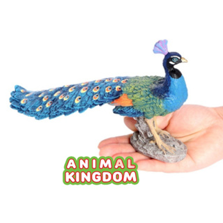 Animal Kingdom - โมเดลสัตว์ นกยูง ฟ้า ขนาด 26.00 CM (จากสงขลา)