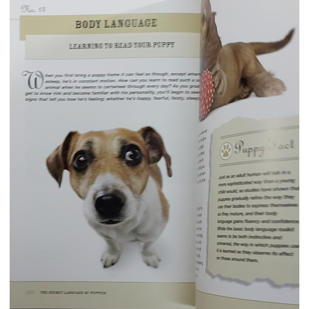 หนังสือ-การเรียนรู้ภาษากาย-สุนัข-หมา-ลูกหมา-ภาษาอังกฤษ-the-secret-language-of-puppies-191page