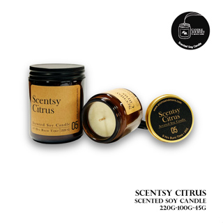05-Scentsy Citrus- Scented Soy Candle เทียนหอม soy wax หอมกลิ่นส้ม The scent of sweet citrus &amp; peppermint 45/100/220G