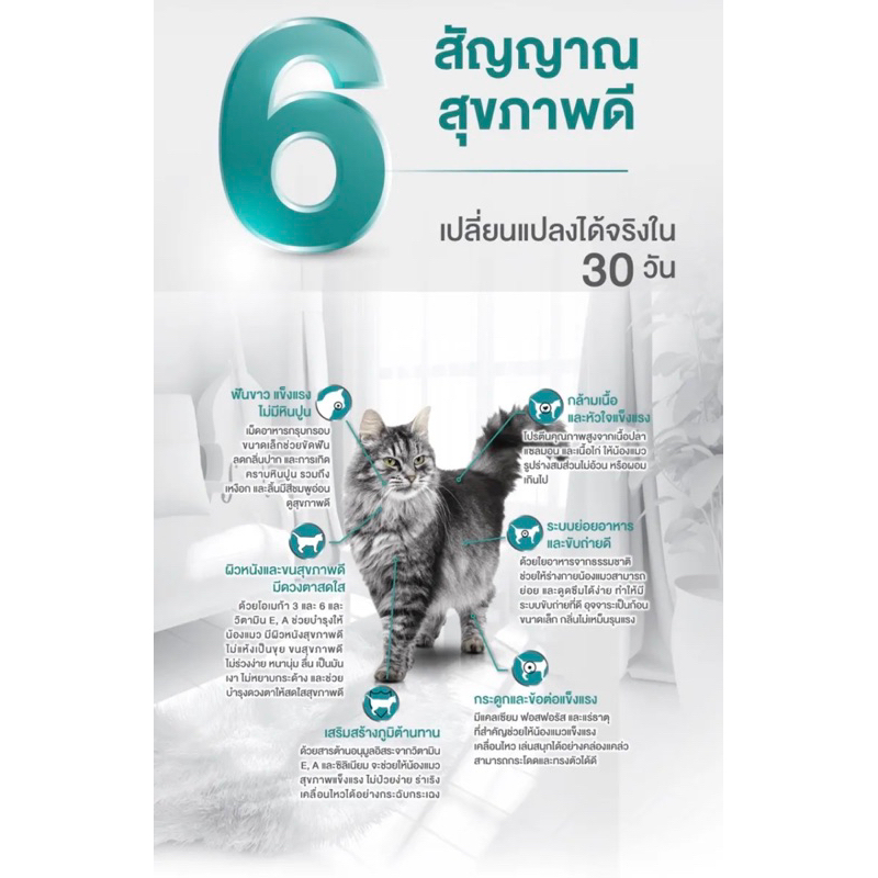 dfk-purina-one-1-2-1-3-kg-อาหารแมวเพียวริน่า-วัน-มีให้เลือก-4-สูตร