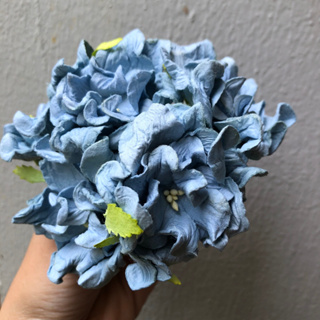 ดอกไม้กระดาษสาดอกไม้ขนาดใหญ่สีฟ้าอ่อน 10 ชิ้น ดอกไม้ประดิษฐ์สำหรับงานฝีมือและตกแต่ง พร้อมส่ง F45