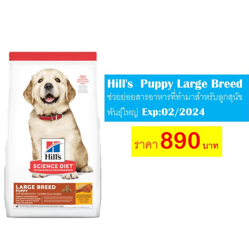 Hill's Puppy Large Breed ช่วยย่อยสารอาหารที่ทำมาสำหรับลูกสุนัขพันธุ์