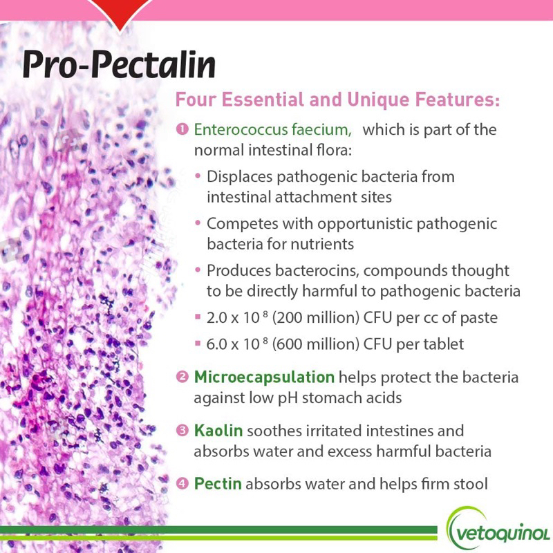 แบ่งขาย-แบบเม็ด-pro-pectalin-แก้ท้องเสียแมว-ปรับสมดุลลำไส้-สำหรับสุนัขและแมว