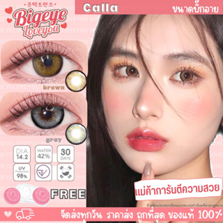 คอนแทคเลนส์ มีกลิตเตอร์กากเพชร🌈Calla🌈 Brown/Gray (Lovelylens) ขนาดบิ๊กอาย💖