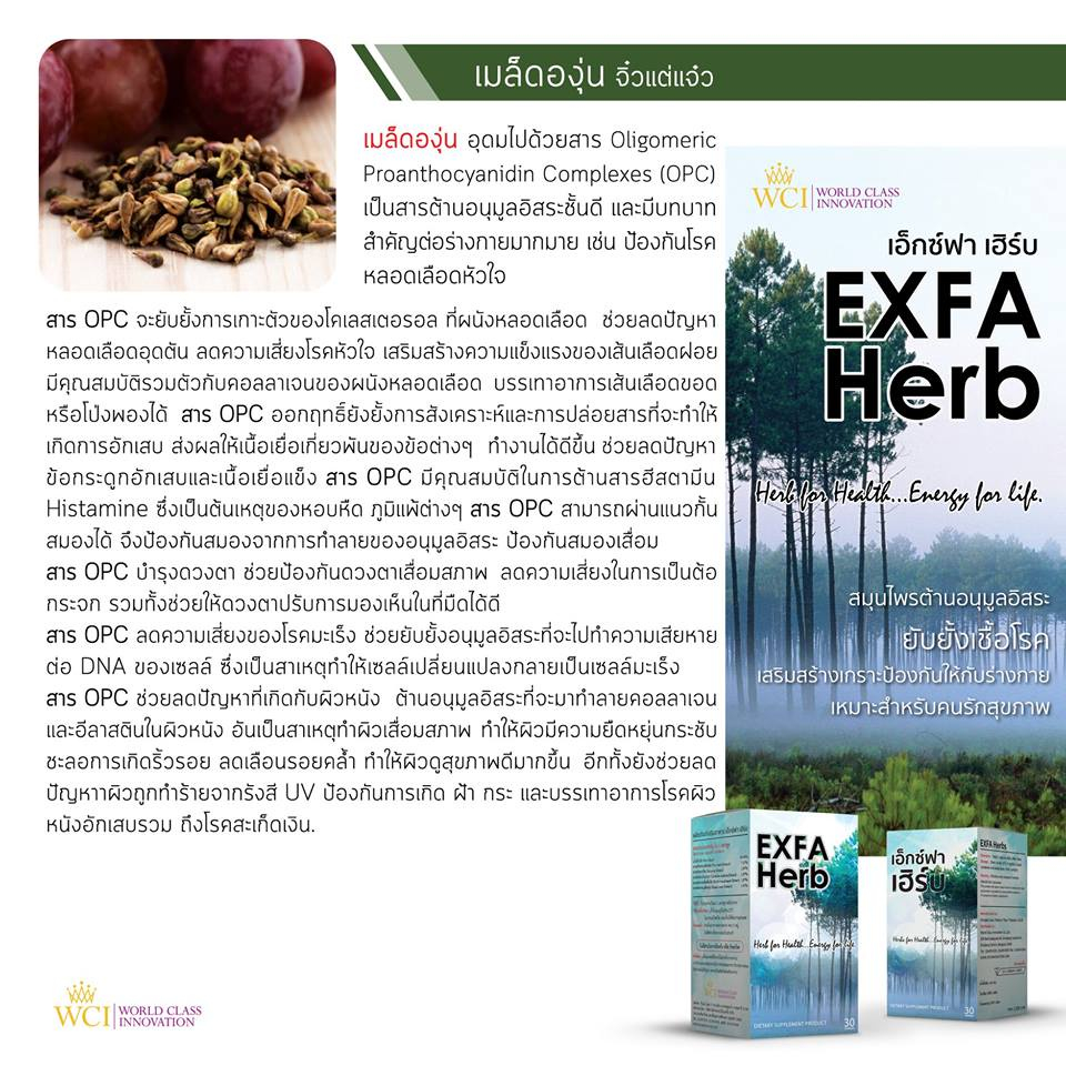 เอ็กซ์ฟา-เฮิร์บ-exfa-herb-สมุนไพรสกัดจากธรรมชาติ-สำหรับคนรักสุขภาพ-เสริมภูมิต้านทาน-เหมาะสำหรับคนรักสุขภาพ