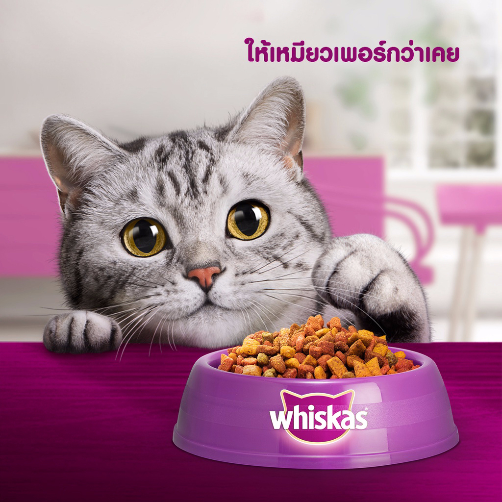 อาหารเม็ดแมว-whiskas-วิสกัส-สูตรลูกแมว-ขนาด-1-2kg