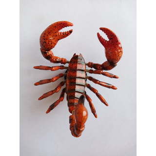 โมเดลเรซิ่นรูปสัตว์แปลกตา "Scorpion" Whimsical Animal Resin Model with Interactive Coil Spring Movement