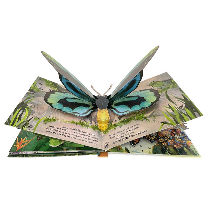 ใช้โค้ดรับcoinคืน10-ได้-พร้อมส่ง-หนังสือบอร์ดบุ๊คเกี่ยวกับผีเสื้อ-usborne-book-pop-up-butterflies-board-book-3d-flap-book-หนังสือภาษาอังกฤษ-by-greatenglishbooks
