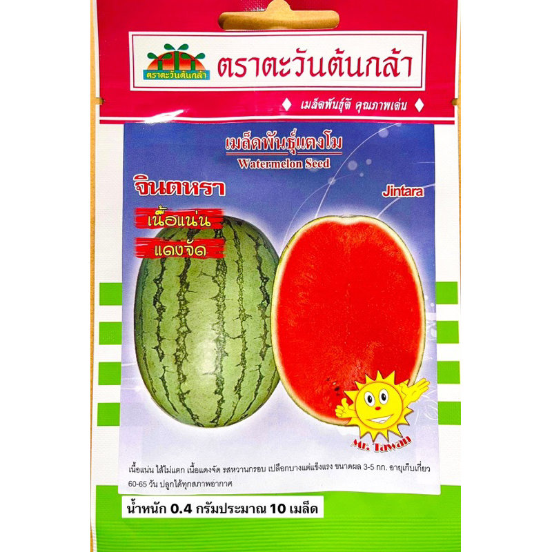 แตงโม-จินตหรา-ประมาณ-10-เมล็ด