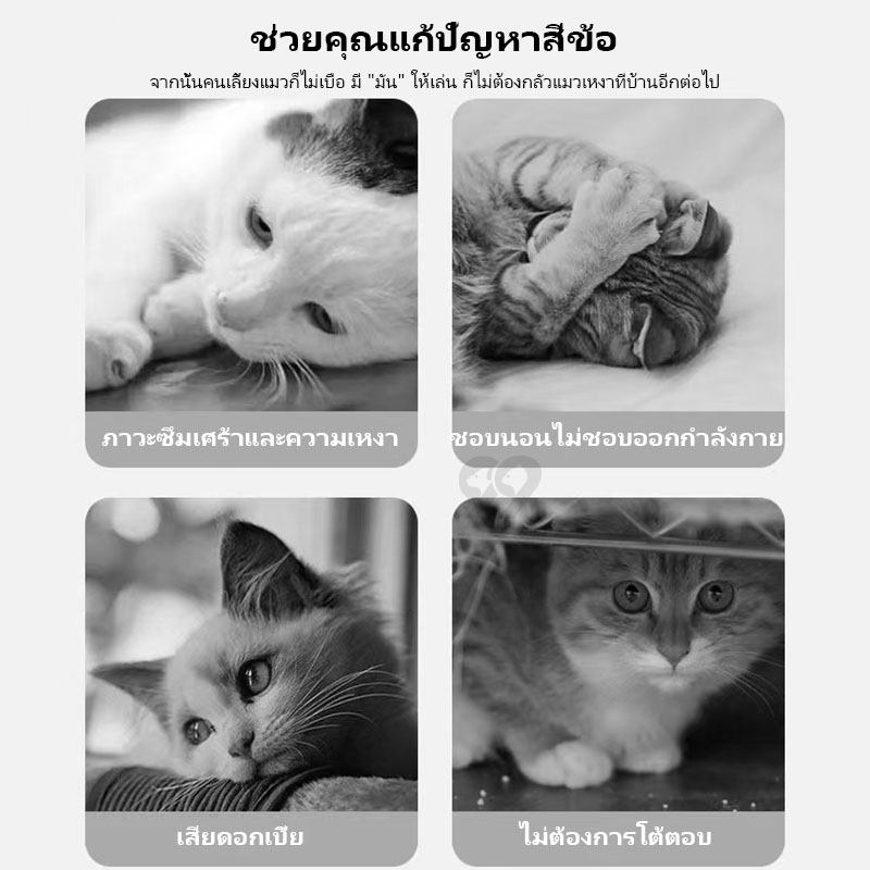 99pet-กระดิ่งแมวดังๆ-ของเล่นแมว-ของเล่นแมวมีบอล-บอลมีกระดิ่งสำหรับแมว-ลูกบอลของเล่นแมว-กระดิ่งทำด้วยผ้าขนสัตว์