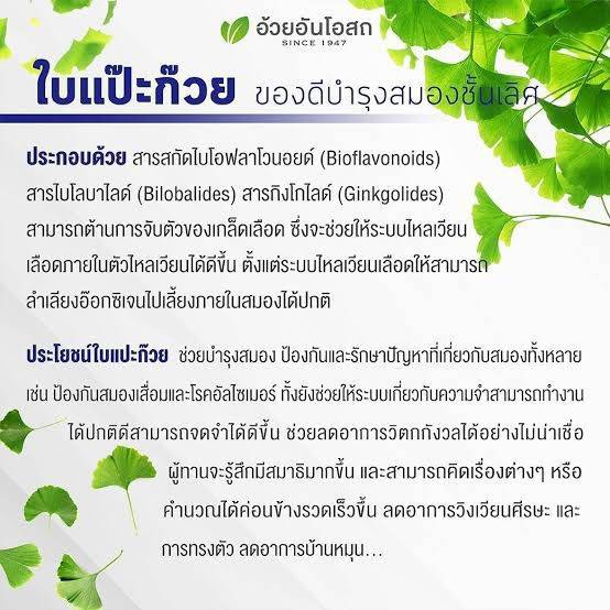 ภาพสินค้าGinkgo Biloba จิงโกะ ไบโลบา ใบแปะก๊วย (สูตรเข้มข้น) บำรุงสมอง เพิ่มสมาธิ เสริมสร้างความจำ อ้วยอันโอสถ 100 แคปซูล จากร้าน kl_care24 บน Shopee ภาพที่ 1