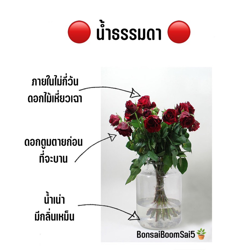 พร้อมส่งจากไทย-ยาแช่กิ่งดอกไม้-ยืดอายุดอกไม้ในแจกัน-5กรัมต่อซอง