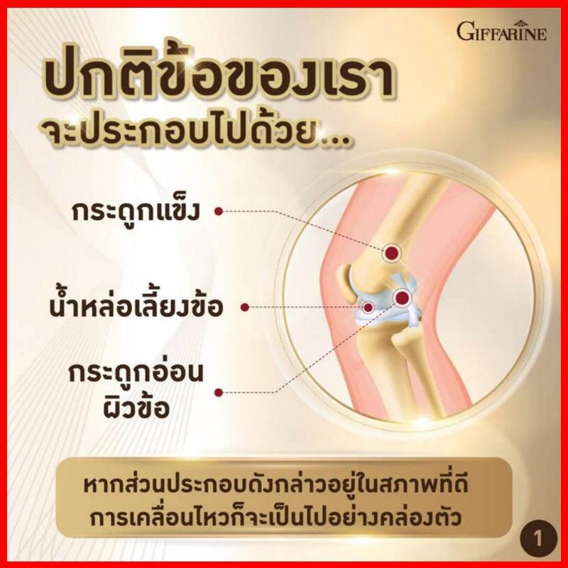 ผลิตภัณฑ์เสริมอาหารคอลลาเจน-type-2-และวิตามินซี