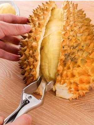 Durian peel stainless steel ที่แกะเปลือกทุเรียน