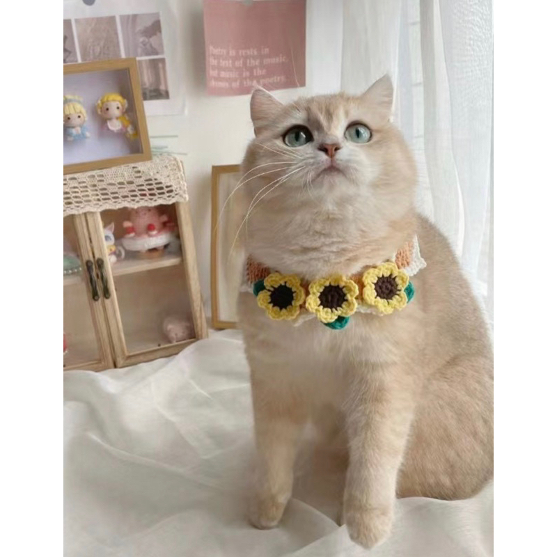 ปลอกคอแมว-sunflower-cute-collar-ปลอกคอถัก