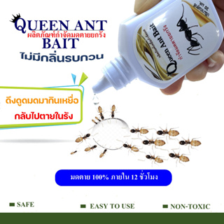 Queen ant bait เหยื่อกำจัดมด เหยื่อมด กำจัดมด เหยื่อกำจัดมดตายยกรัง ตายยกรัง