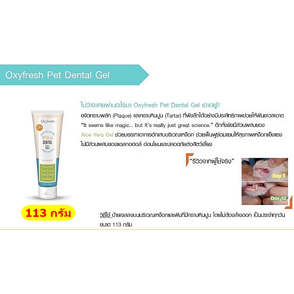 oxyfresh-ผลิตภัณฑ์ดูแลสุขภาพช่องปากสัตว์เลี้ยง-แมว-สุนัข-นก