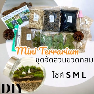 ชุดจัดสวนขวด สวนขวด Terrarium ขวดกลม