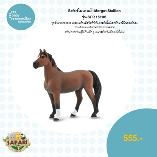 โมเดลม้า Morgan Stallion รุ่น SFR 153105