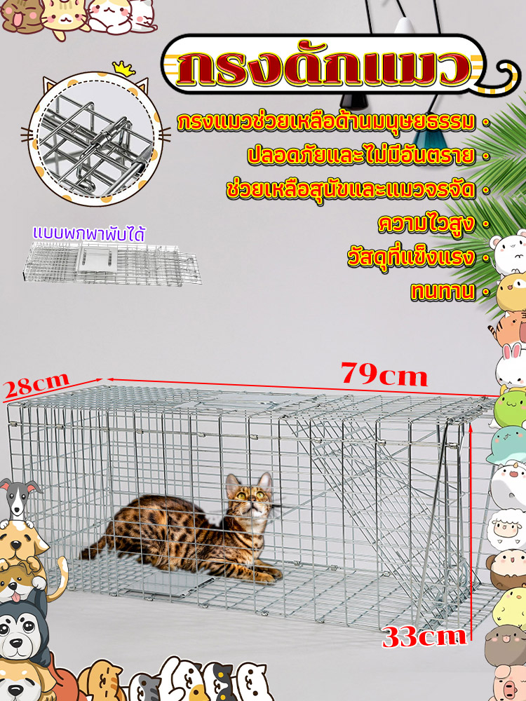 cattrap4you-กรงดักแมว-กรงดักแมวคะ-ไซส์-xl-ส-เหล็กเส้น-ชุบกาวาไนท-กันสนิม-พับได้-จับแมวจรจัด-จับแมว-ดักจับแมว