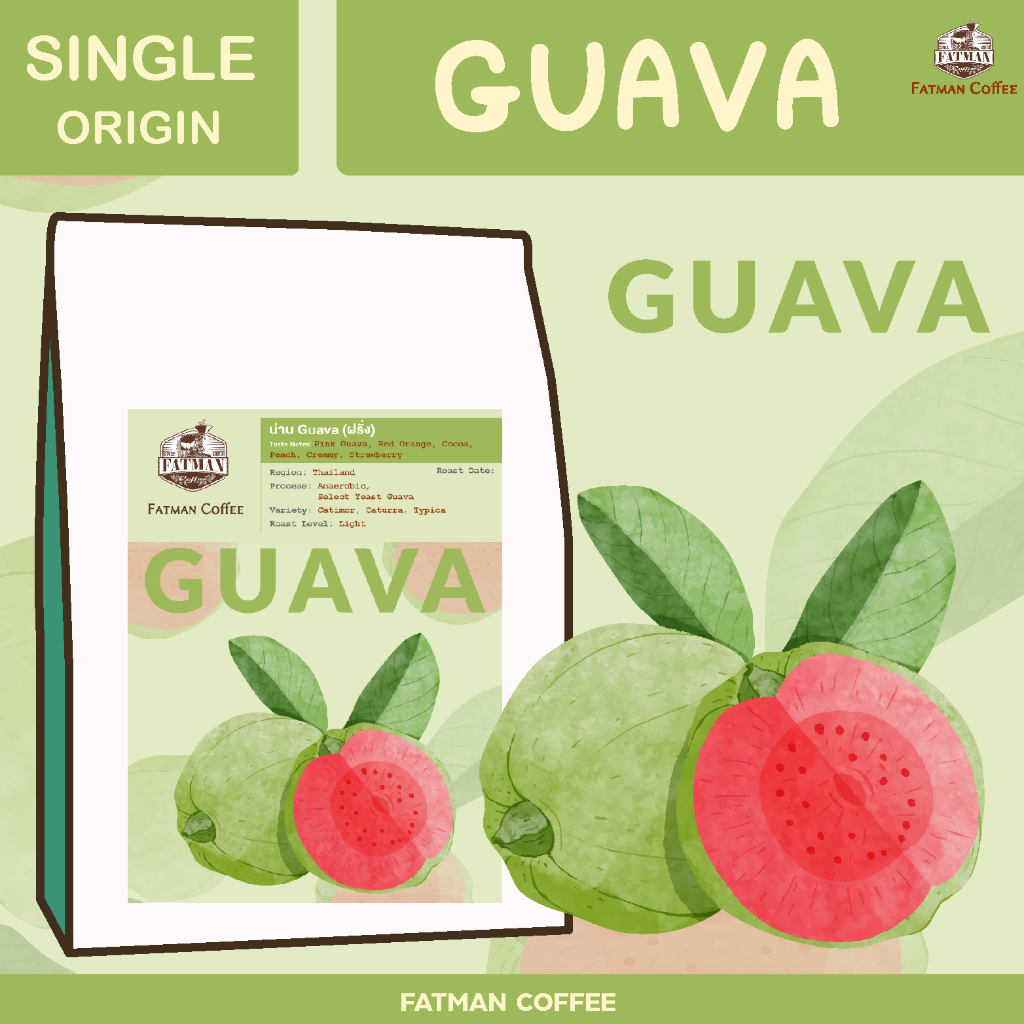 ราคาส่ง-1-3-kg-เมล็ดกาแฟ-น่าน-pink-guava-thailand